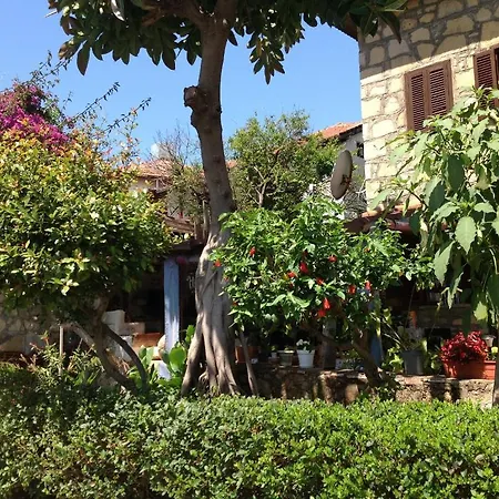 Guest house Yuekser 3*