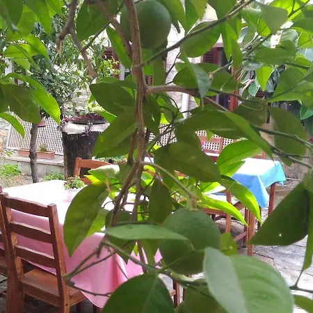 Yuekser Guest house 3*