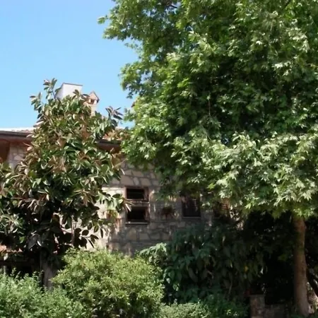 Yükser Pensión